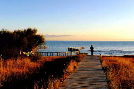 人生換季與金齡牧養